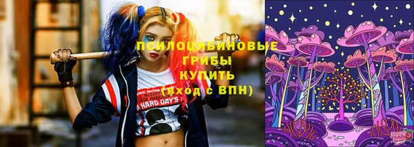 соль ск Балахна