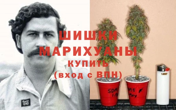 кокс Беломорск