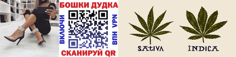 Купить  Карпинск  Каннабис MAZAR 